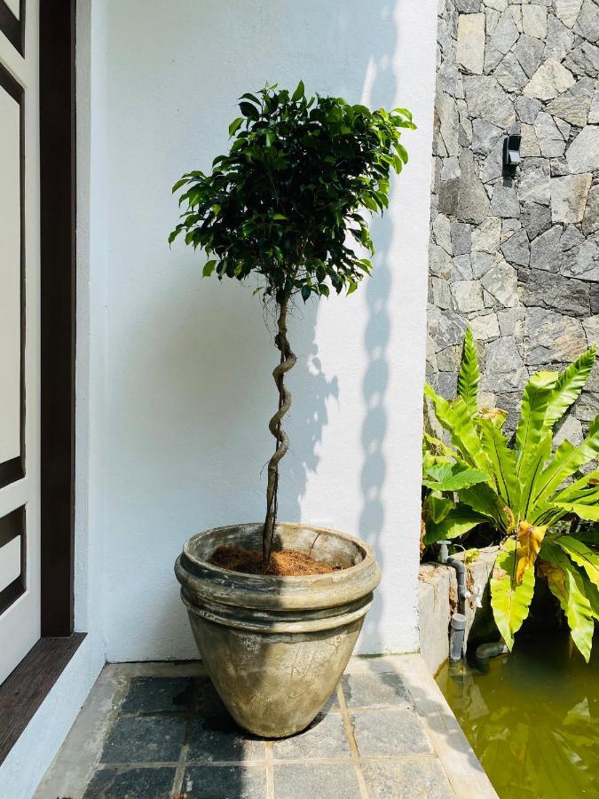 Thaprobana Villa Tangalle - Private Villa 外观 照片