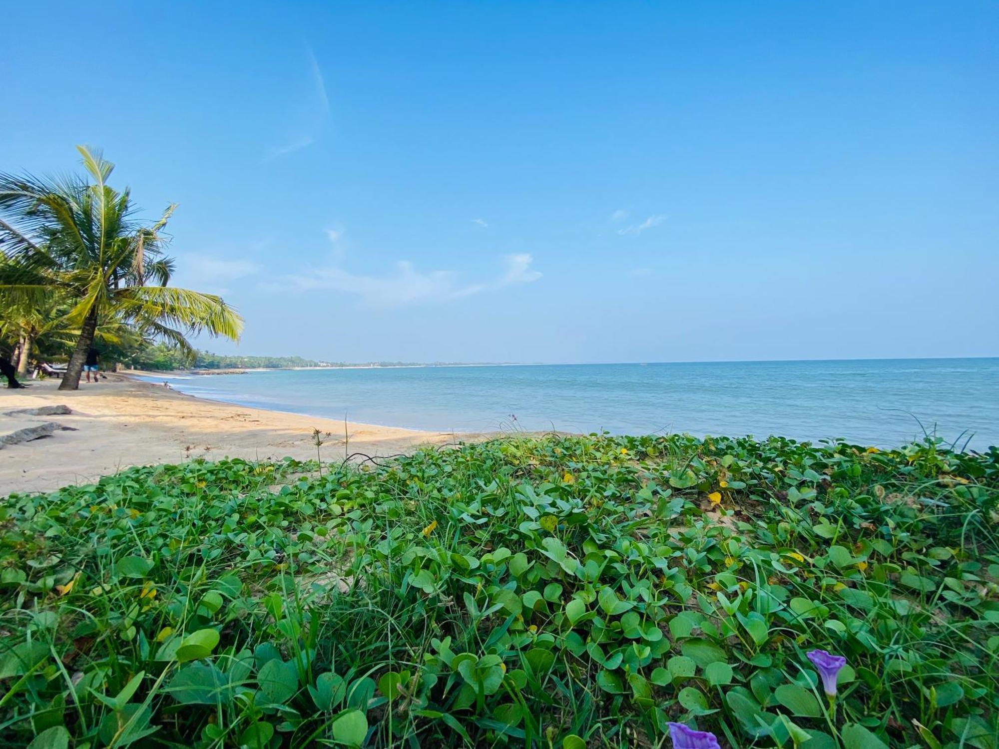 Thaprobana Villa Tangalle - Private Villa 外观 照片
